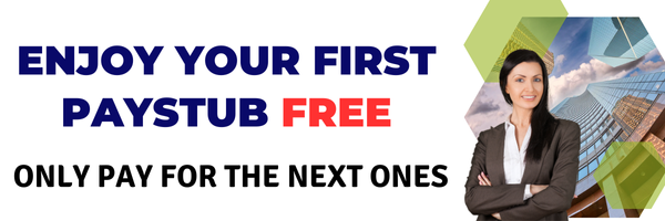 Professional Paystub Example