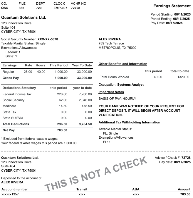 Professional Paystub Example
